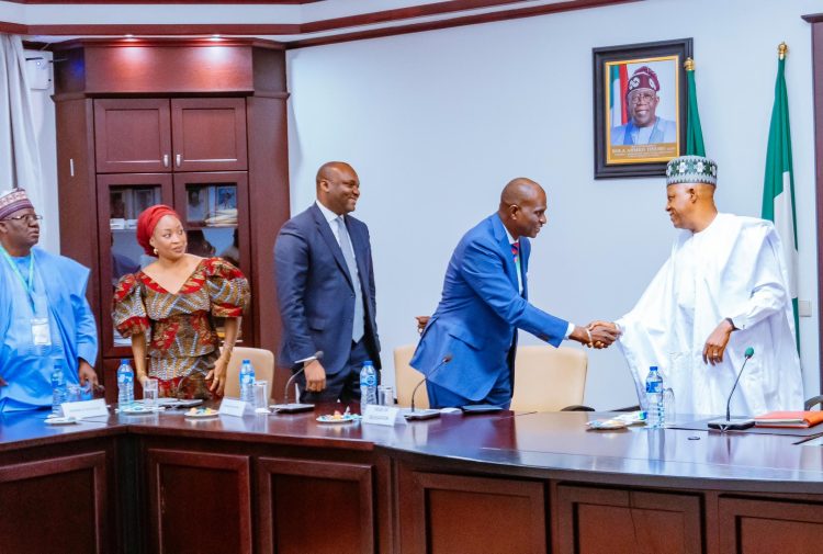 Diversify your portfolio, support youth entrepreneurship, Shettima charges NSIA board
