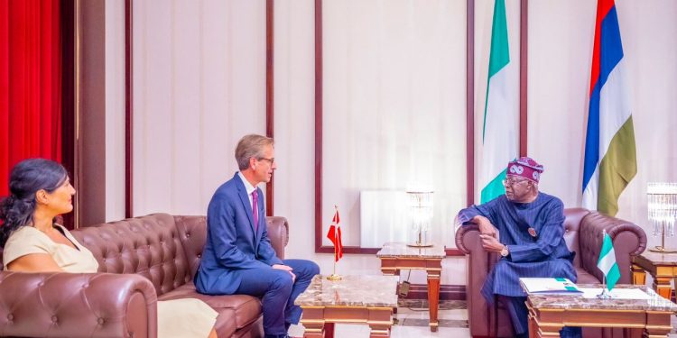 Let’s translate our friendships into economic gains for citizens, Tinubu tells French, Chinese, Danish ambassadors