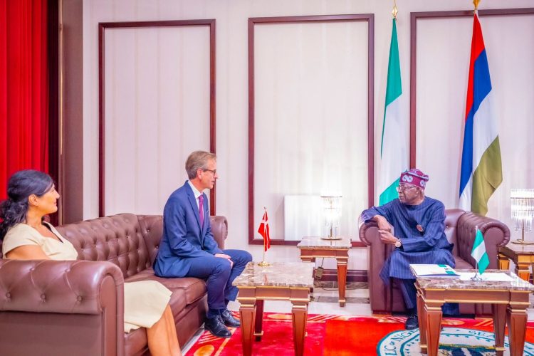 Let’s translate our friendships into economic gains for citizens, Tinubu tells French, Chinese, Danish ambassadors