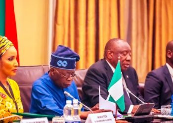 South Africa eyes Nigeria’s lithium, supports bid to join G20