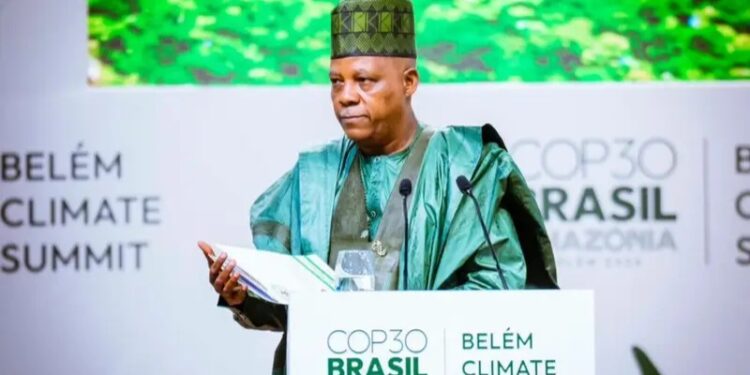 We must stop pledging, start performing to check climate change, Shettima tells world leaders