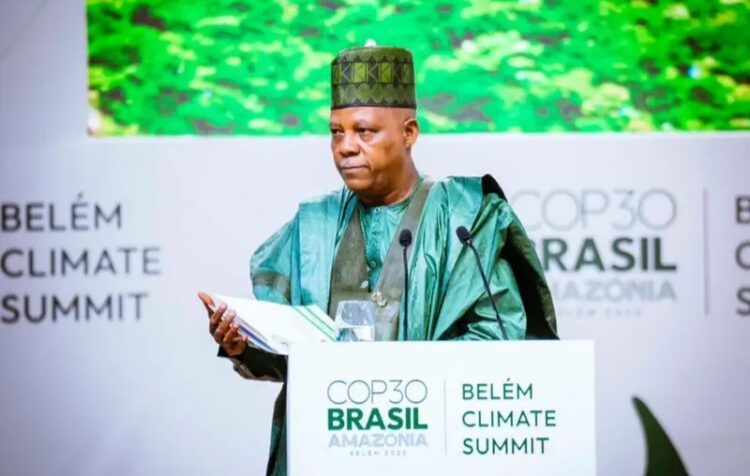 We must stop pledging, start performing to check climate change, Shettima tells world leaders