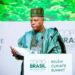 We must stop pledging, start performing to check climate change, Shettima tells world leaders