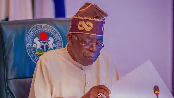 2026 opens with strong economic momentum — Tinubu