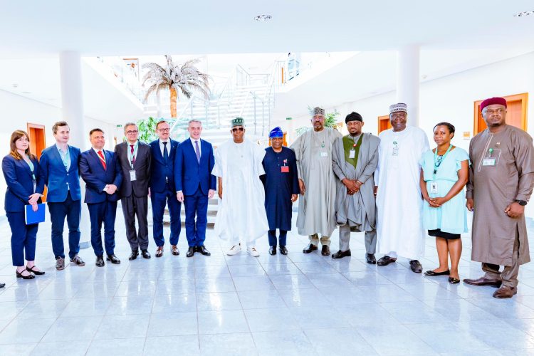 Nigeria, Poland explore strategic partnership on digital economy, defence, others