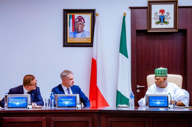 Nigeria, Poland explore strategic partnership on digital economy, defence, others