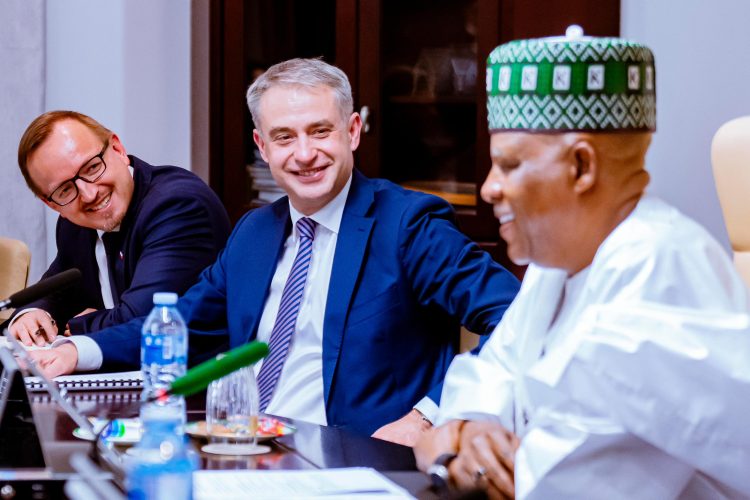 Nigeria, Poland explore strategic partnership on digital economy, defence, others