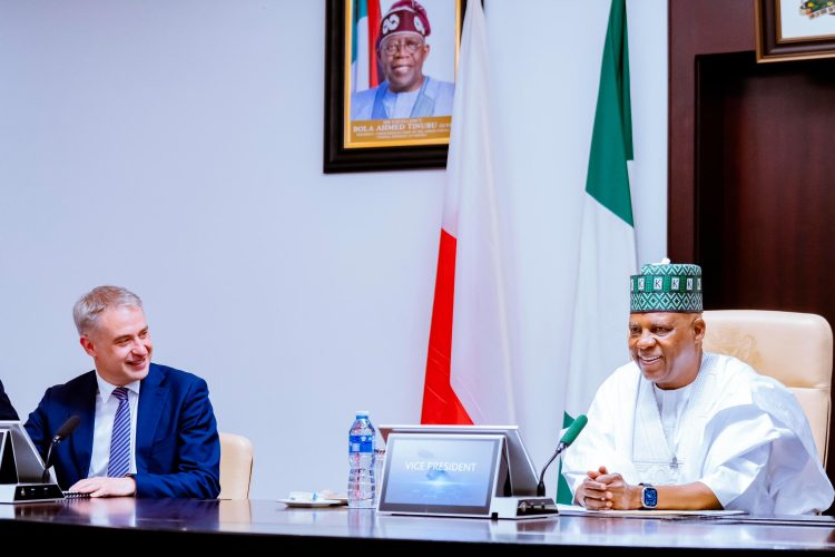Nigeria, Poland explore strategic partnership on digital economy, defence, others